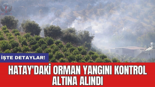 Hatay'daki orman yangını 4 saatlik müdahaleyle kontrol altına alındı