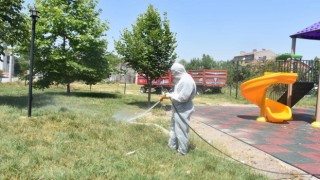 Havaların ısınmasıyla ilaçlama çalışmalarına hız verildi