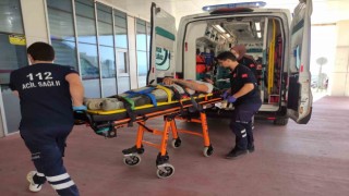 İskeleden düşen işçi yaralandı