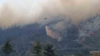 İzmir Valisi Elban: Yangında 7 ev hasar gördü