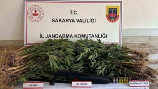 Jandarma altı ayda 55 kilo uyuşturucu ele geçirdi: Bin 165 şüpheliye işlem yapıldı