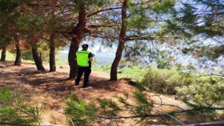 Jandarma ekipleri yasak bölgeye giren şahıslara cezai işlem uyguladı