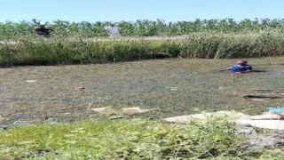 Jandarmadan kaçmak için bataklığa saklandı, kaçamadı