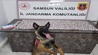 Jandarmadan uyuşturucu satıcılarına operasyon