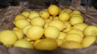 Kapadokya bölgesindeki limon depoları denetleniyor