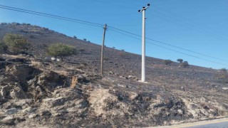 Karpuzludaki makilik yangın kontrol altına alındı