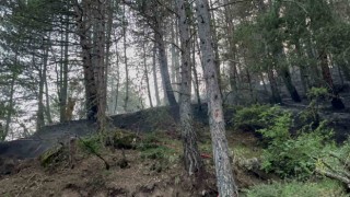 Kastamonuda düşen yıldırım orman yangınlarına sebep oldu