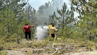 Kastamonudaki orman yangınları kontrol altına alındı
