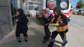 Konyada köpeğin saldırdığı kadın yaralandı