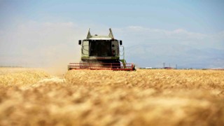 Muğla Valiliğinden ‘Anız genelgesi