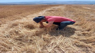 Niğdede çiftçilere uyarı