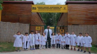 Ormanyada yaz okulu başlıyor