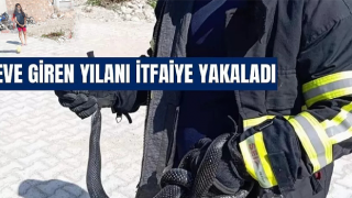 Samandağda eve giren yılanı itfaiye yakaladı