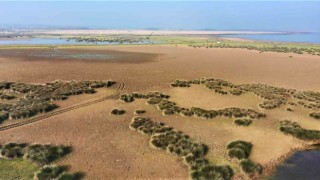 Samsunda yağışlar yüzde 20 ila 40 arasında azaldı