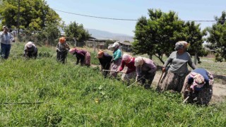 Sıcaklar Egeli kadınları yıldırmıyor