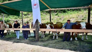 Sinopta 265 köylüye 40 milyon TL ferdi kredi desteği