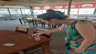 Sökede 1 ayda 109 gıda işletmesi denetlendi