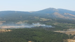 Somada orman yangını kontrol altında