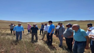 Sungurluda biçerdöverler kontrol ediliyor