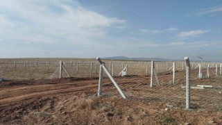 Tarım arazilerini aykırı kullananlara ceza yağdı