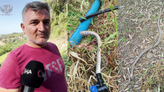 Tarlasını sulamak isteyen çitçinin tıkanan borusundan yılan çıktı