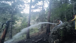 Tarsusta orman yangını kısa sürede söndürüldü