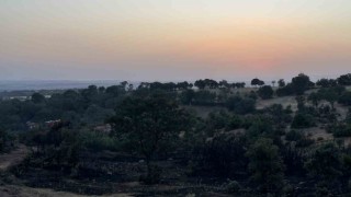 Uşakta makilik alanda çıkan yangın sondürüldü