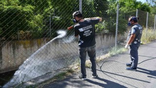 Üsküdar Belediyesi tarafından vektörlerle mücadele devam ediyor