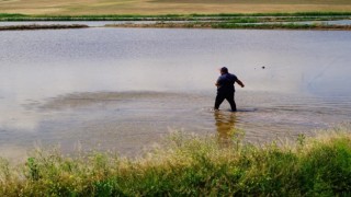Uzmanından önemli tavsiye: Mikrobiyal gübreleme ve lazerli tesviye ile verim arttırılabilir