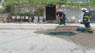 Vezirköprüde tüp patlaması