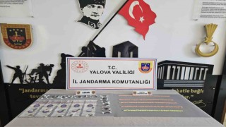 Yalovada uyuşturucu operasyonu: 1 gözaltı