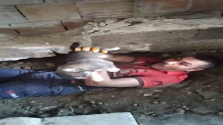 Yavru köpeği sıkıştığı yerden itfaiye ekipleri kurtardı