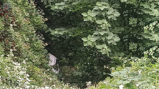 Yayla yolunda uçurumdan uçan araçtaki 2 kişi yaralandı