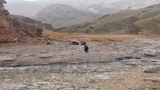 Yaylada rahatsızlanan kadın için helikopter havalandı