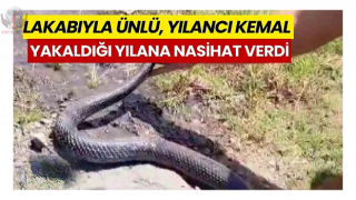 Yılancı Kemalin yakaladığı yılana nasihat verdiği anlar tebessüm ettirdi