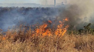 Ziraat odasından çiftçilere anız yangını uyarısı