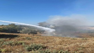 Adanada anız yangını, orman yangınına dönüştü