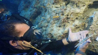 Akdenizin derinliklerinde Girit-Minos Uygarlığına ait 3 bin 600 yıllık hançer bulundu