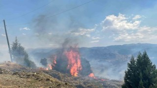 Alanyada makilik alanda çıkan yangın ormana sıçramadan söndürüldü