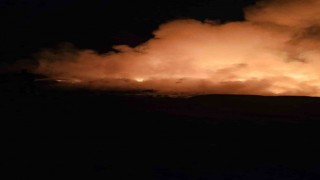 Antakyada çıkan yangın ormana sıçramadan söndürüldü