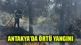 Antakya’da örtü yangını