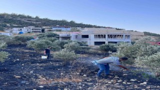 Antakyada zeytinlik alanda çıkan yangın büyümeden söndürüldü