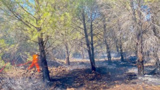 Antalyada 2 dönüm ormanlık alan yandı