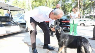 Başkan Kocagözden Köpek yakıldı iddialarına cevap