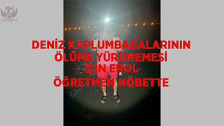Deniz kaplumbağalarının ölüme yürümemesi için Erol öğretmen nöbette