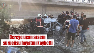 Dereye uçan aracın sürücüsü hayatını kaybetti