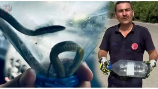 Evde yakalanan yılan doğaya bırakıldı