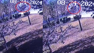 Freni patlayan yolcu midibüsünün otogar içine düşme anı kamerada