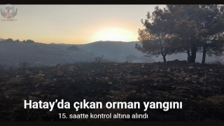 Hatay’da çıkan orman yangını 15. saatte kontrol altına alındı
