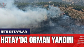 Hatay’da orman yangını
